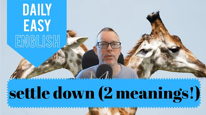 1236 Easy English Expression: settle down (TWO usages) - DayDayNews