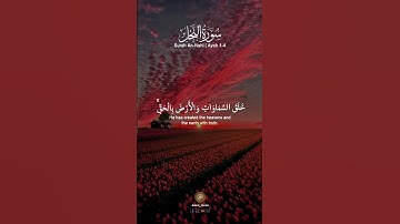 سورة النحل ... #اكتب_شي_توجر_عليه #القران_الكريم #اكسبلور #الدال_على_الخير_كفاعله #tiktok