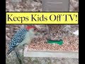 DIY Recycled Bird Feeder! DIY Recycled Bird Feeder!