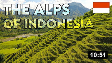 OLLON VALLEY | The Switzerland of Indonesia | Sulawesi cinematic