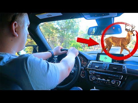 ЖЕСТОКОЕ ПУТЕШЕСТВИЕ ИЗ ЛОС-АНДЖЕЛЕСА В ЛАС-ВЕГАС НА МАШИНЕ BMW m3 ПО ТРАССЕ 66 ВЛОГ