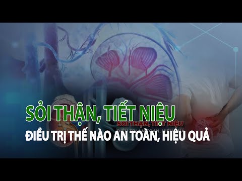 Video Sỏi thận, tiết niệu - điều trị thế nào an toàn, hiệu... - youtube