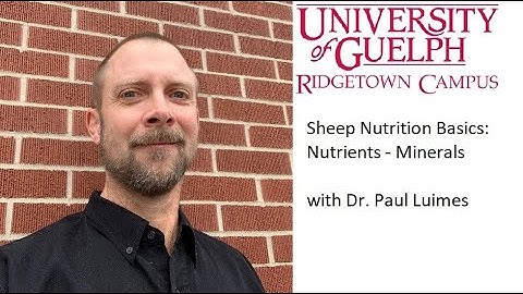 Sheep Nutrition Basics: Nutrients - Minerals