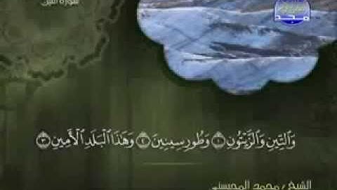 سورة التين كاملة الشيخ القارئ محمد المحيسني