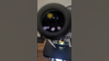 Garlic Under A Microscope | TULO - Microscope #shorts