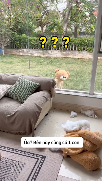 Oh my god what is that thing with 4 legs in my house?