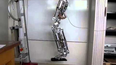 SHERPA biped robot at LIRMM