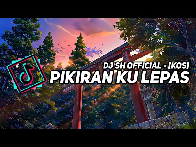 Dj Pikiran Ku Lepas Viral TikTok by Arif DU Mashup class=