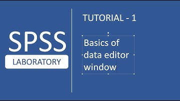 SPSS Tutorials # 1 : Basics of Data Editor Window in SPSS