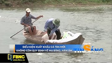 FBNC - ĐIỀU KIỆN XUẤT KHẨU CÁ TRA MỚI KHÔNG CÒN QUY ĐỊNH VỀ MẠ BĂNG, HÀM ẨM