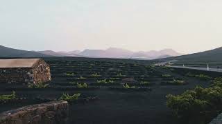 Volcanic Vineyards with Apple Log 2 (iPhone 12) with Log Cam