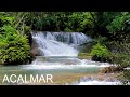 Cachoeira e Paz 🍃 Música Relaxante com Suave Sons de Água e Natureza para Meditar e Acalmar