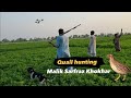 Quail hunting  batair ka shikar  by malik sarfraz khokhar with shotkam in pakistan