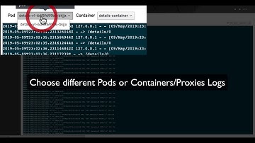 View the Pod and Envoy logs with Kiali