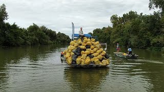 Cleaning Europe's rivers: Meet the teams trying to turn the plastic tide