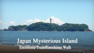 Japan Travel Vlog/Mysterious Island Enoshima/Japan train