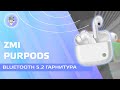 ZMI PurPods - технологичная Bluetooth 5.2 гарнитура с адаптивной настройкой громкости и эквалайзером