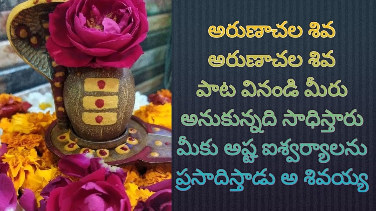 🙏🌺శివ శివ అరుణాచల శివ పాట వినండి మీరు పట్టిందల్లా బంగారమే అవుతుంది మీకు అంతా శుభం కలుగుతుంది 🌺🙏