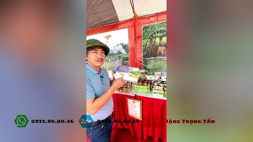 Giới thiệu về sản phẩm của HTX Nông dược Tĩnh Sáng Đường