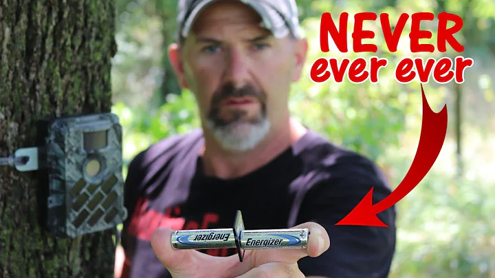 NEVER Do This: 3 Trail Camera Mistakes to Avoid