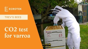 Trevs Bees - CO2 test for varroa.