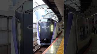Horn E353 Series Limited Express Trains At Tokyo Station, Japan, September 2025