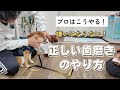 正しい歯磨きのやり方!~これで歯磨き嫌い卒業!~