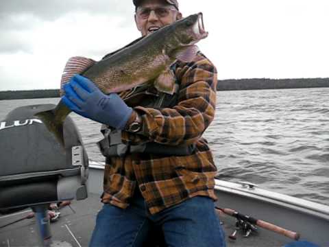 Perrault Lake Camp Wayne's Walleye