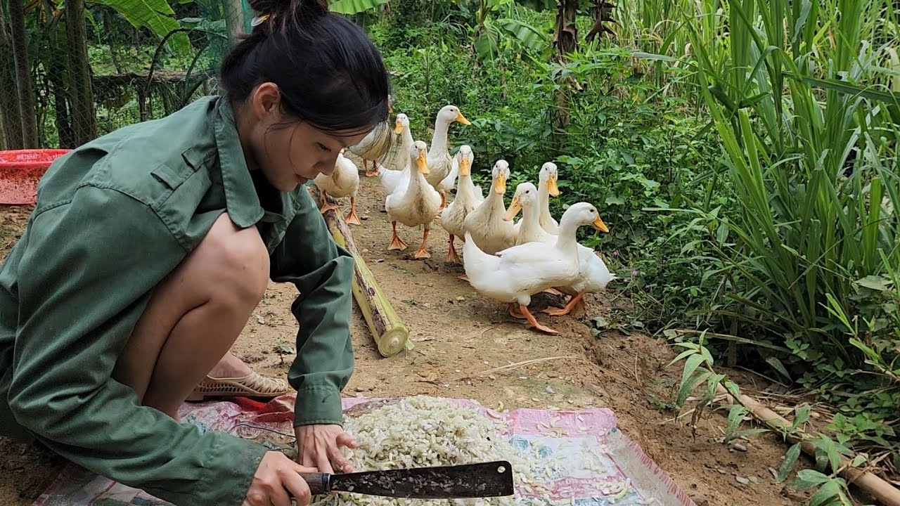 Beautiful girl weaves a very cool fish trap - YouTube