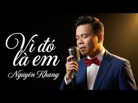 Vì Đó Là Em - Nguyên Khang | Tình Ca Phòng Trà – Nhẹ Nhàng Như Làn Gió Đêm