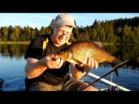 Video: Hur Man Röker Braxen