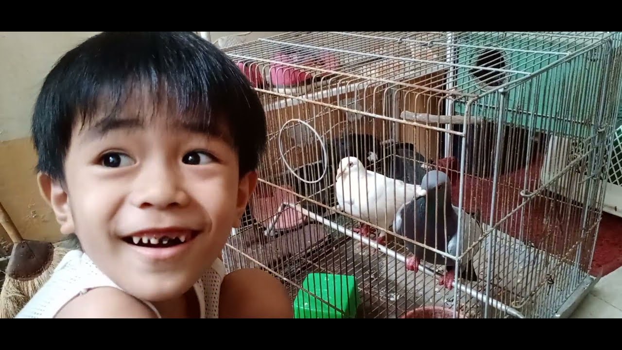 Dale Veneracion, Happy Feeding his pet birds YouTube