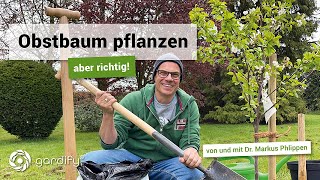 Obstbaum pflanzen – aber richtig! Größenauswahl, Standort, Pflanzung, Anbindung | gardify Tipps