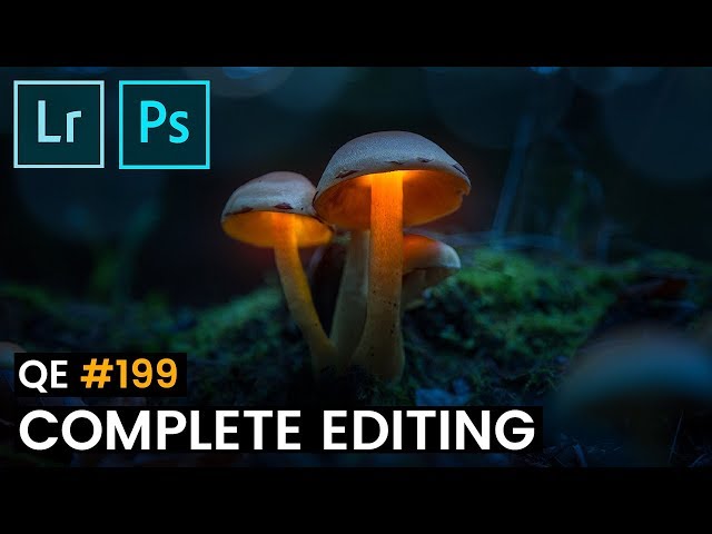 Tutorial: Mushroom Light Painting Photography — Using Lightroom and  Photoshop., by Rudolfo Dalamicio