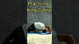 Practice king cobra Pose | Bhujangasana | yoga workout youtube yogaandfitnesswithshiva shorts