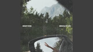 Video thumbnail of "Bright Eyes - Miracle of Life"