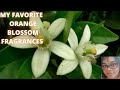 My Favorite Orange Blossom Fragrances|Perfume Collection 2021