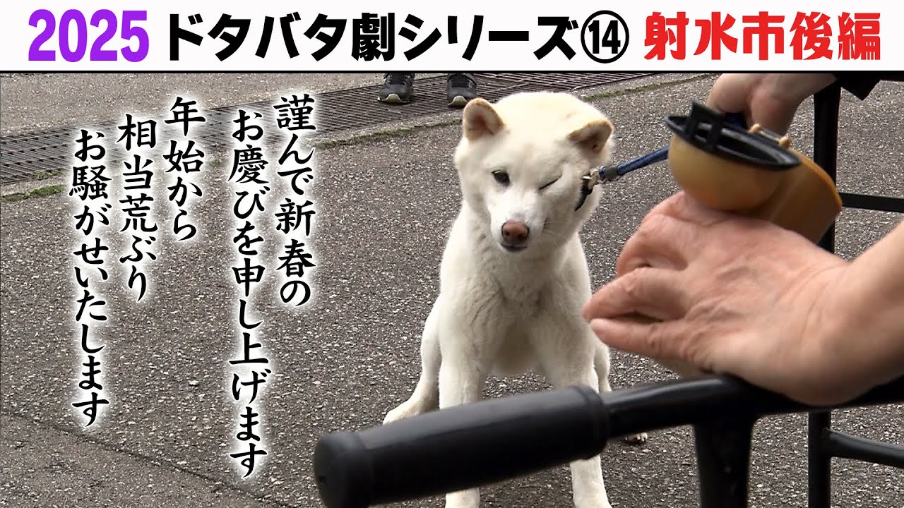 2025狂犬病予防注射会場のドタバタ劇⑭ 射水市後編