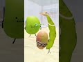 まめすけはおやつにマンゴーをたべたいようです#roblox #ロブロックス#robloxfyp