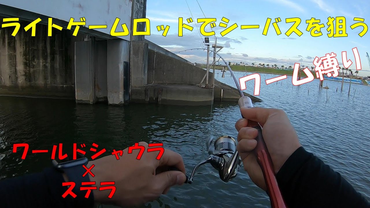 ライトゲームロッドでシーバスを狙う ジグヘッドとワーム縛り Youtube ライトゲームロッドでシーバスを狙う ジグヘッドとワーム縛り Youtube