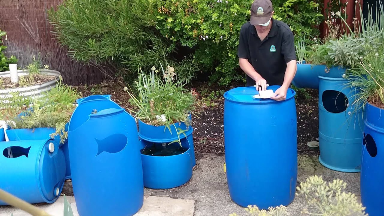Nats blue barrel Aquaponics growbed stand how to - YouTube