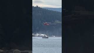 Coast guard training out in the bay!
