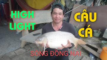 HIGHLIGHT CÂU CÁ SÔNG ĐỒNG NAI !- Vũ phạm!!!