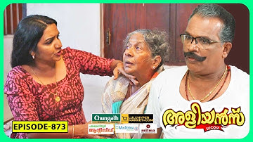 Aliyans - 873 | പേർഷ്യൻ ഐറ്റംസ് | Comedy Serial (Sitcom) | Kaumudy