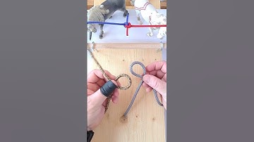 Zeppelin Bend #shorts #knot #camping