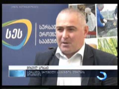 ცოფის საწინააღმდეგო უფასო ვაქცინაცია ტარდება