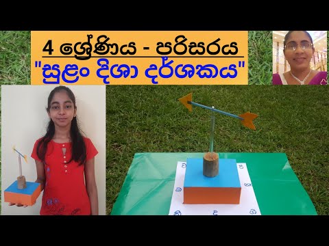 Wind direction indicator | සුළං දිශා දර්ශකය