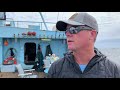 Ocearch founder Chris Fischer talks Lowcountry expedition, importance of sharks in the region