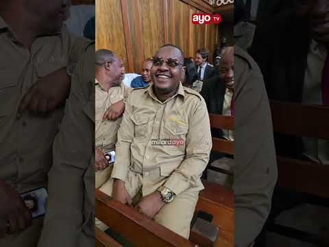 VIDEO PROFESSOR JAY KWENYE CHUMBA CHA MAHAKAMA KUU KESI YA TUNDU LISSU