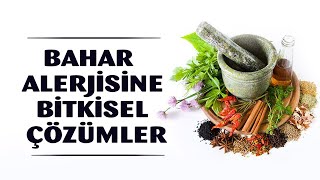 Alerji doğal yöntemlerle nasıl geçer? Bahar alerjisine (saman nezlesi) ne iyi gelir?